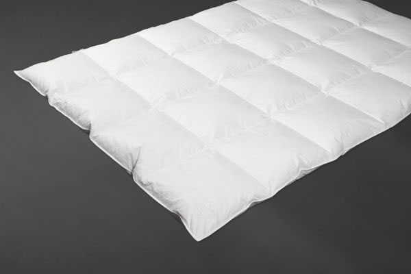 bbv_shop-aktion-atelier